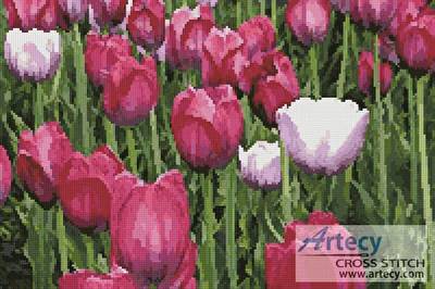 cross stitch pattern Tulips photo