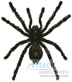 cross stitch pattern White Toe Tarantula