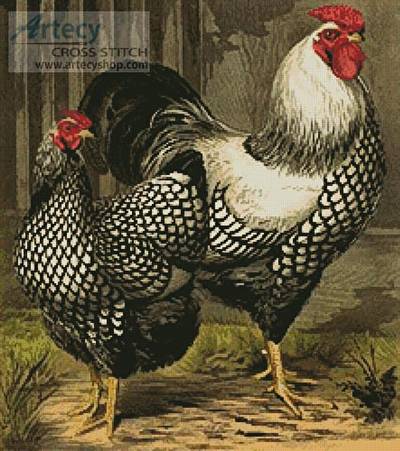 cross stitch pattern Wyandotte Chickens