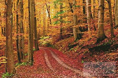 cross stitch pattern Autumn Path