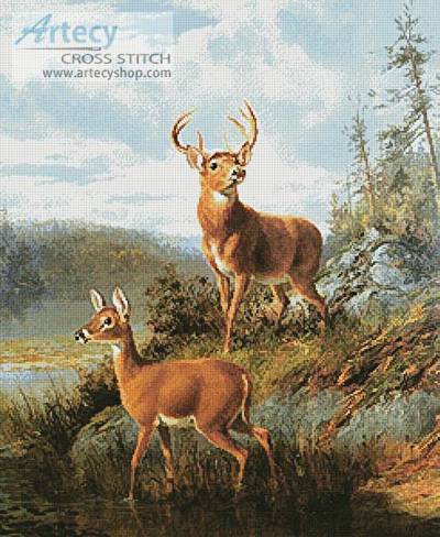 cross stitch pattern Awake Raquette Lake