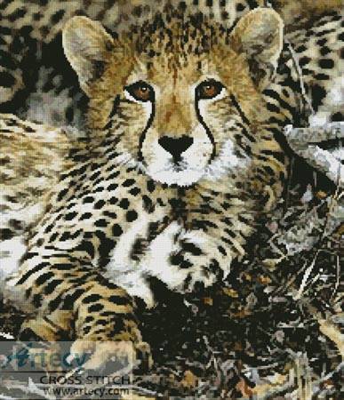 cross stitch pattern Baby Cheetah
