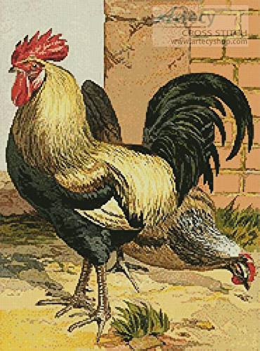 cross stitch pattern Coloured Dorking Chickens