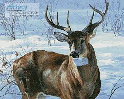 cross stitch pattern Whitetail Buck
