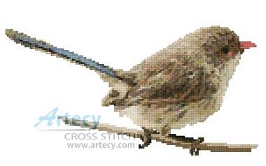 cross stitch pattern Female Splendid Fairy Wren