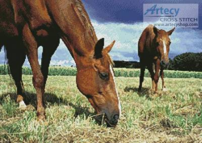 cross stitch pattern Grazing