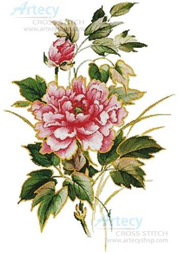 cross stitch pattern Antique Rose