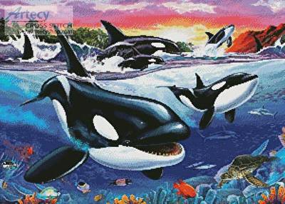 cross stitch pattern Killer Whales
