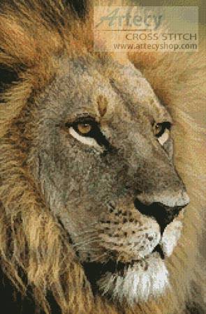 cross stitch pattern Lions Gaze