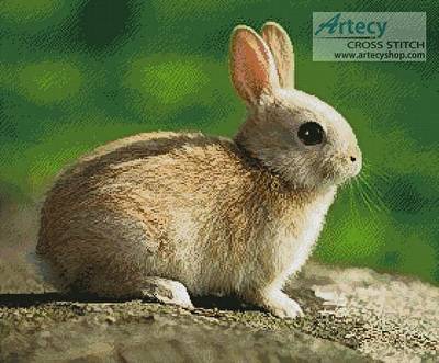 cross stitch pattern Little Rabbit