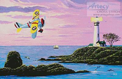 cross stitch pattern Curtiss Sparrowhawk near Pigeon Pt.
