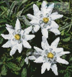 cross stitch pattern Mini Edelweiss