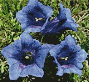 cross stitch pattern Mini Enzian