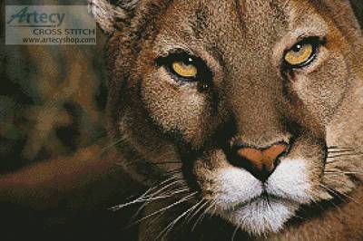 cross stitch pattern Mountain Lion Portrait