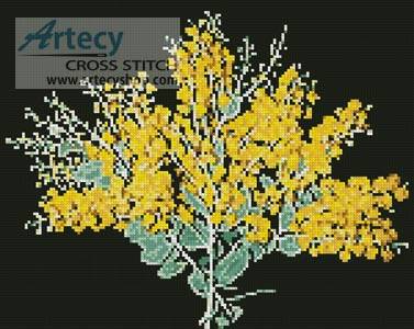 cross stitch pattern Queensland Silver Wattle