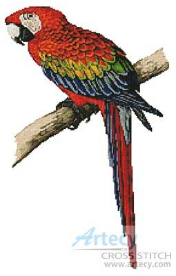 cross stitch pattern Red and Blue Macaw