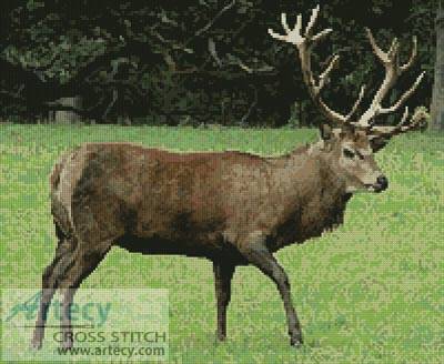 cross stitch pattern Stag