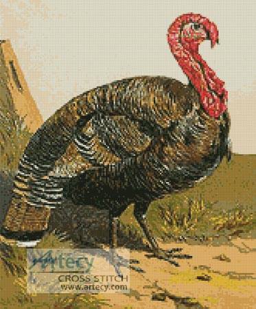 cross stitch pattern Turkey 2