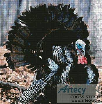cross stitch pattern Turkey 3