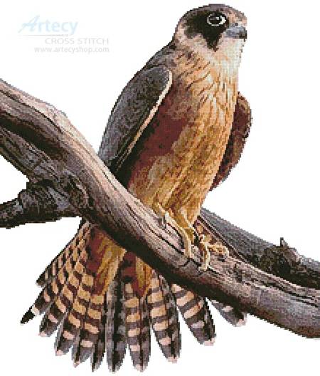 cross stitch pattern Australian Hobby