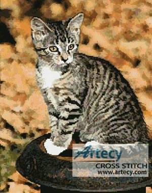 cross stitch pattern Autumn Kitten