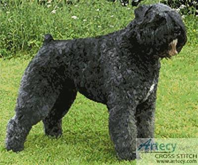 cross stitch pattern Bouvier des Flandres