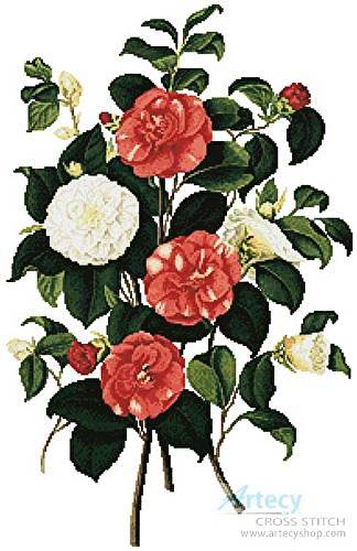 cross stitch pattern Camellias 1