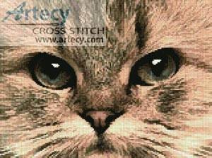 cross stitch pattern Cat Close Up
