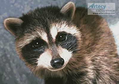 cross stitch pattern Cute Raccoon