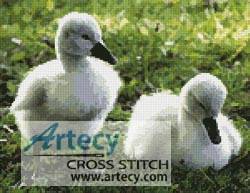 cross stitch pattern Cygnets