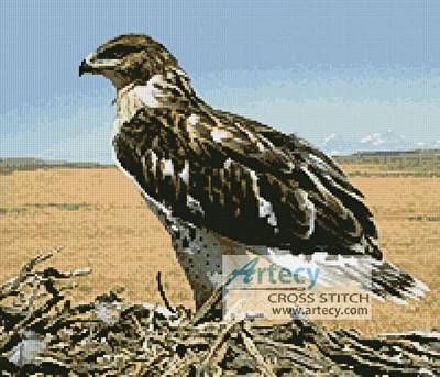 cross stitch pattern Hawk