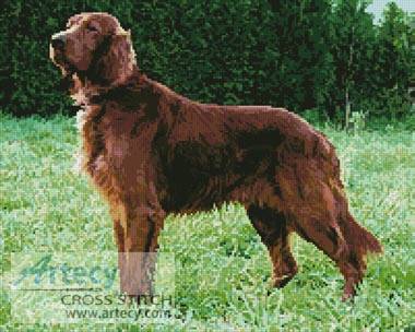 cross stitch pattern Irish Red Setter
