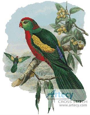 cross stitch pattern King Parrot 2