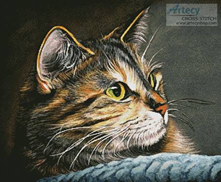 cross stitch pattern Amber Glow