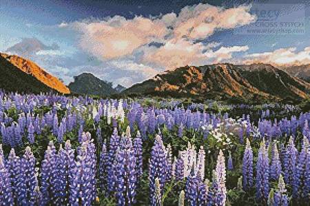 cross stitch pattern Lupins