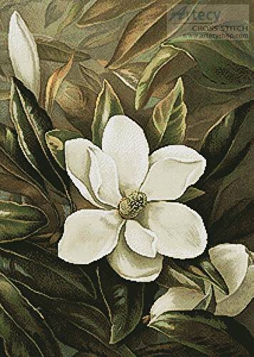 cross stitch pattern Magnolia Grandiflora