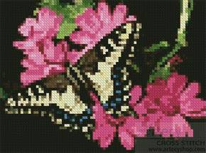 cross stitch pattern Mini Butterfly 3
