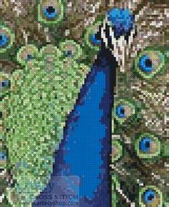 cross stitch pattern Mini Peacock 1