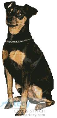 cross stitch pattern Miniature Pinscher