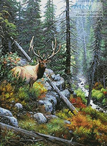 cross stitch pattern Champion