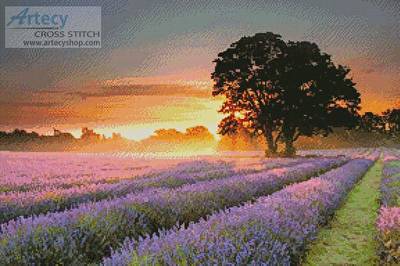 cross stitch pattern Mayfair Lavender at Sunrise