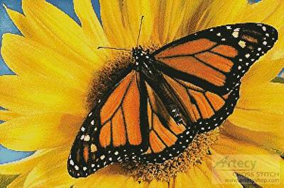 cross stitch pattern Monarch Sunflower