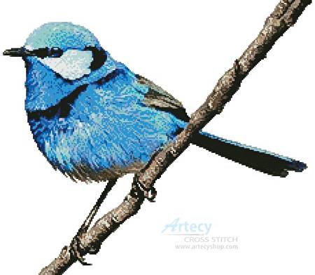 cross stitch pattern Male Splendid Fairy Wren 2