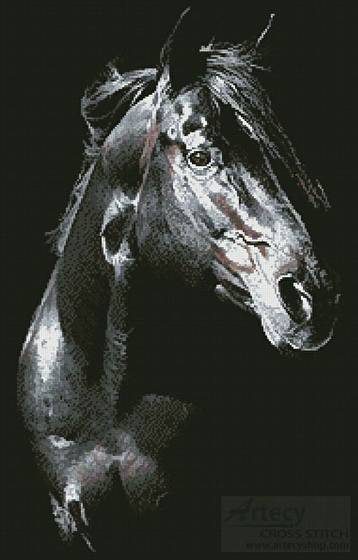 cross stitch pattern Private Dreamer Stallion