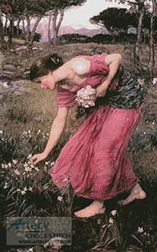 cross stitch pattern Narcissus