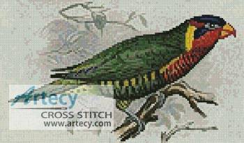 cross stitch pattern Ornate Lorikeet