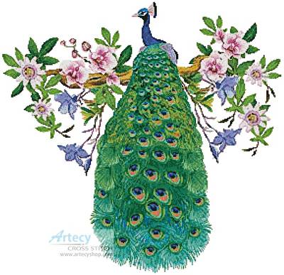 cross stitch pattern Peacock with Passionflower