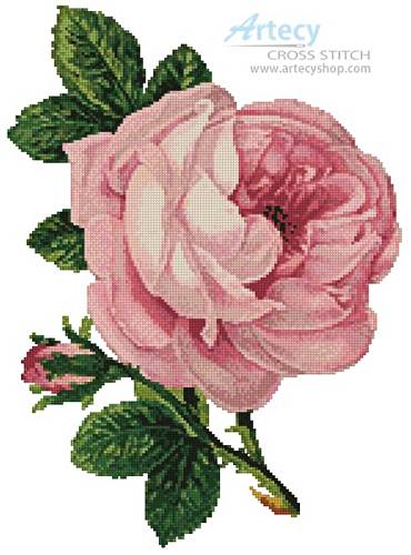 cross stitch pattern Pink Rose and Bud