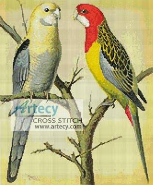 cross stitch pattern Rosella and Pale Headed Parakeet