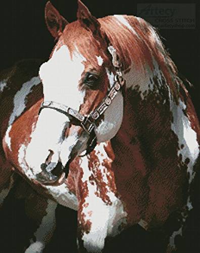 cross stitch pattern Sierra Supreme